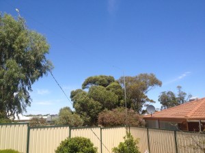 View of a backyard with a dipole antenna. Feedline can be seen coming down at a 30º angle